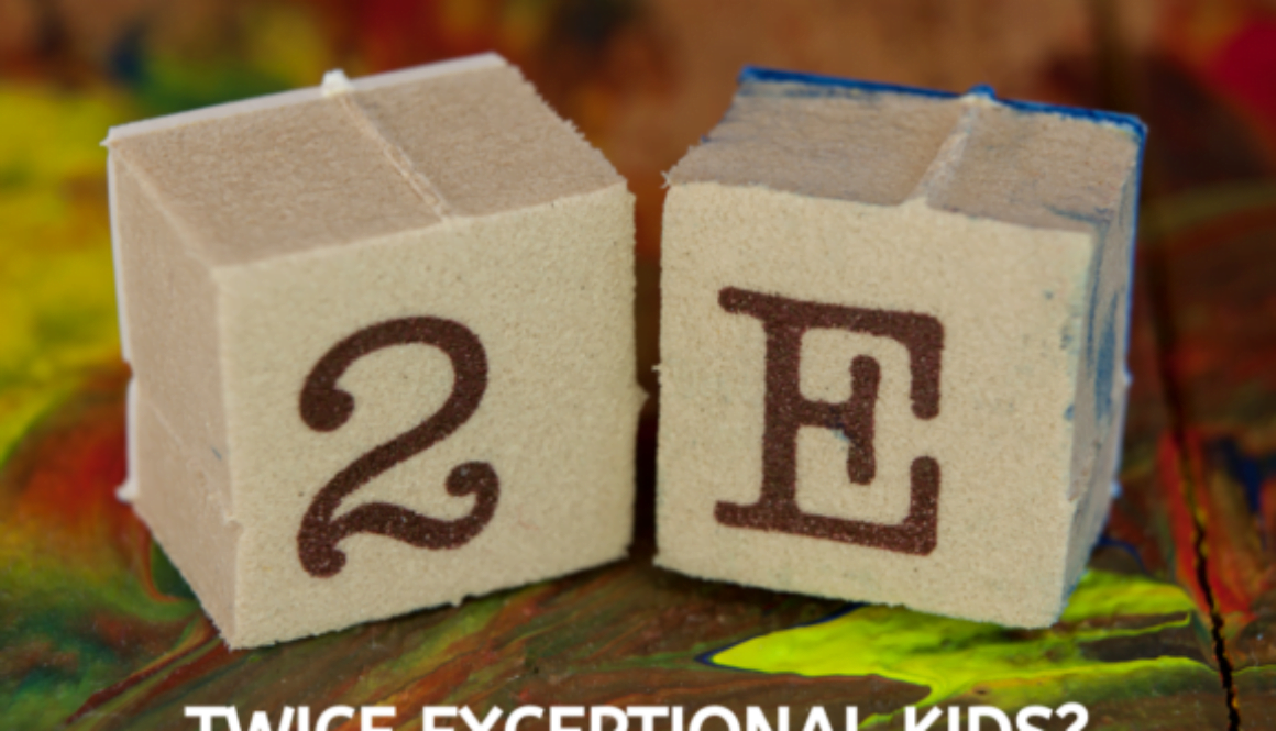 Twice exceptional kids